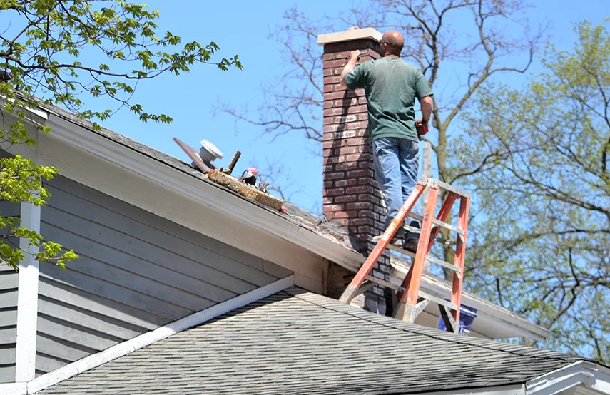 Chimney & Fireplace Inspections Services in Taylorsville, UT